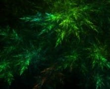 The Suit of Pentacles