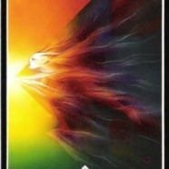 Tarot Court Cards – The Knights