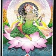 Tarot Court Cards – The Queens