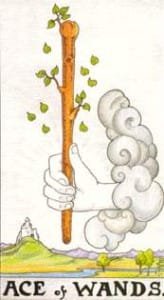 Ace of Wands