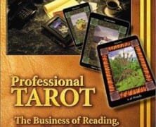 Professional Tarot by Christine Jette