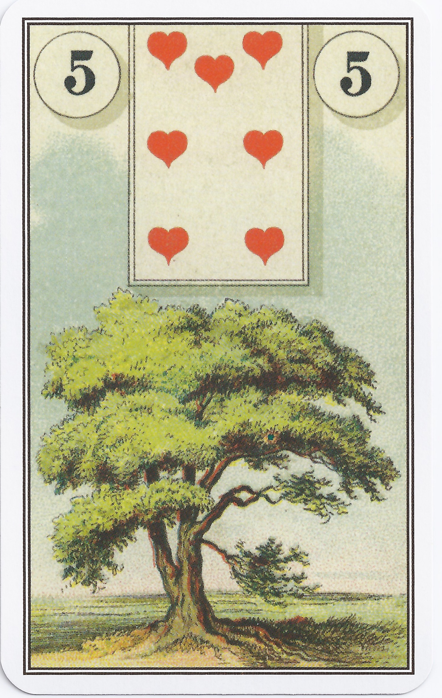 Learning the Lenormand Card Meanings